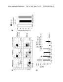 TARGETING CD138 IN CANCER diagram and image