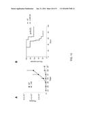 TARGETING CD138 IN CANCER diagram and image