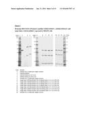 Single Linker FabFv Antibodies and Methods of Producing Same diagram and image