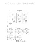 SELECTIVE TARGETING OF CANCER STEM CELLS diagram and image