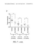 SELECTIVE TARGETING OF CANCER STEM CELLS diagram and image