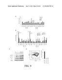 SELECTIVE TARGETING OF CANCER STEM CELLS diagram and image