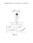 SELECTIVE TARGETING OF CANCER STEM CELLS diagram and image