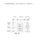 SELECTIVE TARGETING OF CANCER STEM CELLS diagram and image