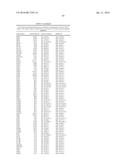 SELECTIVE TARGETING OF CANCER STEM CELLS diagram and image