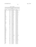 SELECTIVE TARGETING OF CANCER STEM CELLS diagram and image