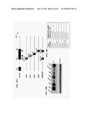 TUMOR-SELECTIVE E1A  AND E1B MUTANTS diagram and image