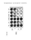 TUMOR-SELECTIVE E1A  AND E1B MUTANTS diagram and image