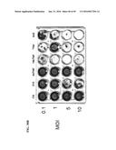 TUMOR-SELECTIVE E1A  AND E1B MUTANTS diagram and image