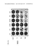 TUMOR-SELECTIVE E1A  AND E1B MUTANTS diagram and image