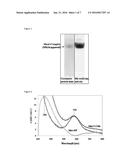 RECOMBINANT MANGANESE OXIDASE diagram and image