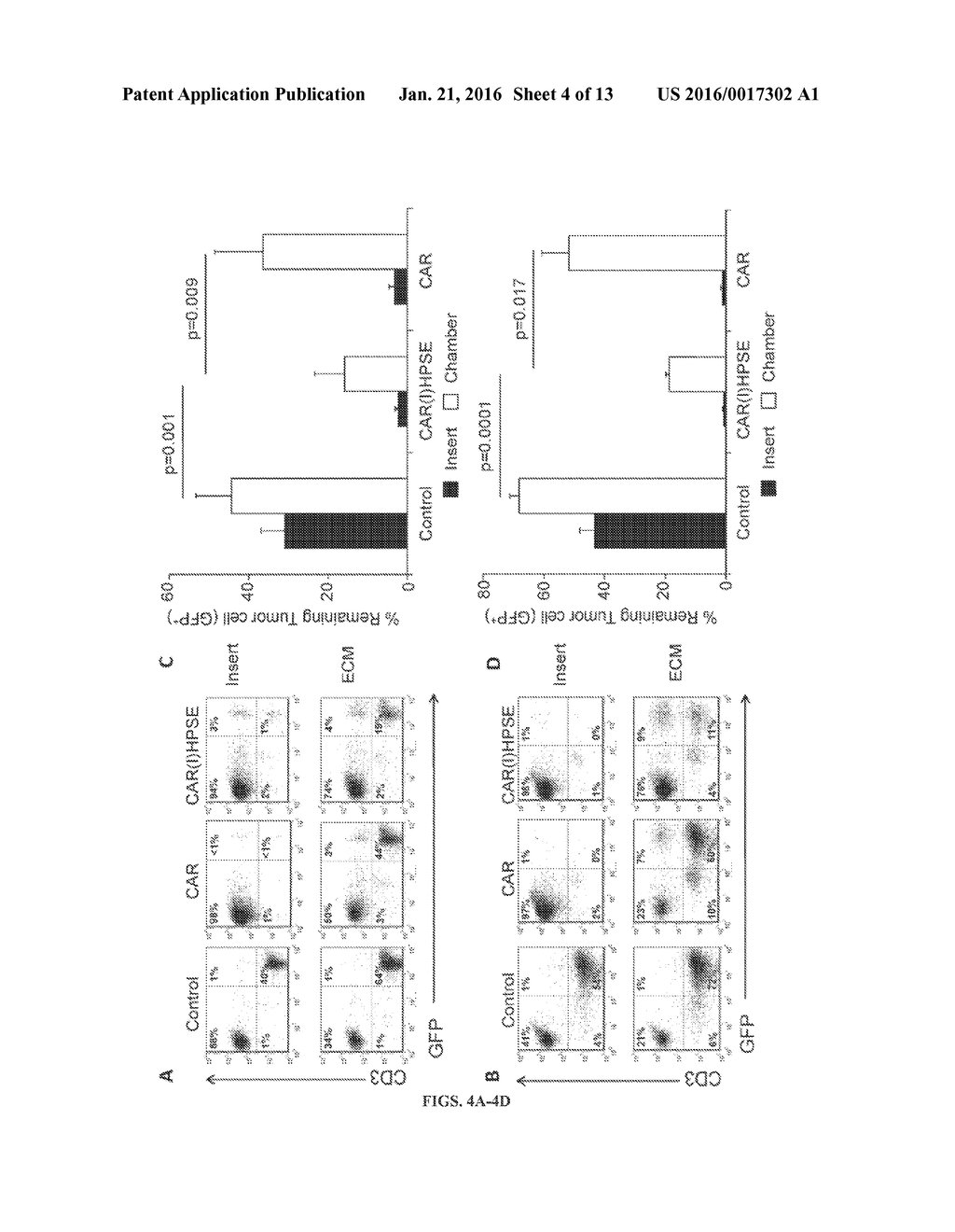 HEPARANASE EXPRESSION IN HUMAN T LYMPHOCYTES - diagram, schematic, and image 05