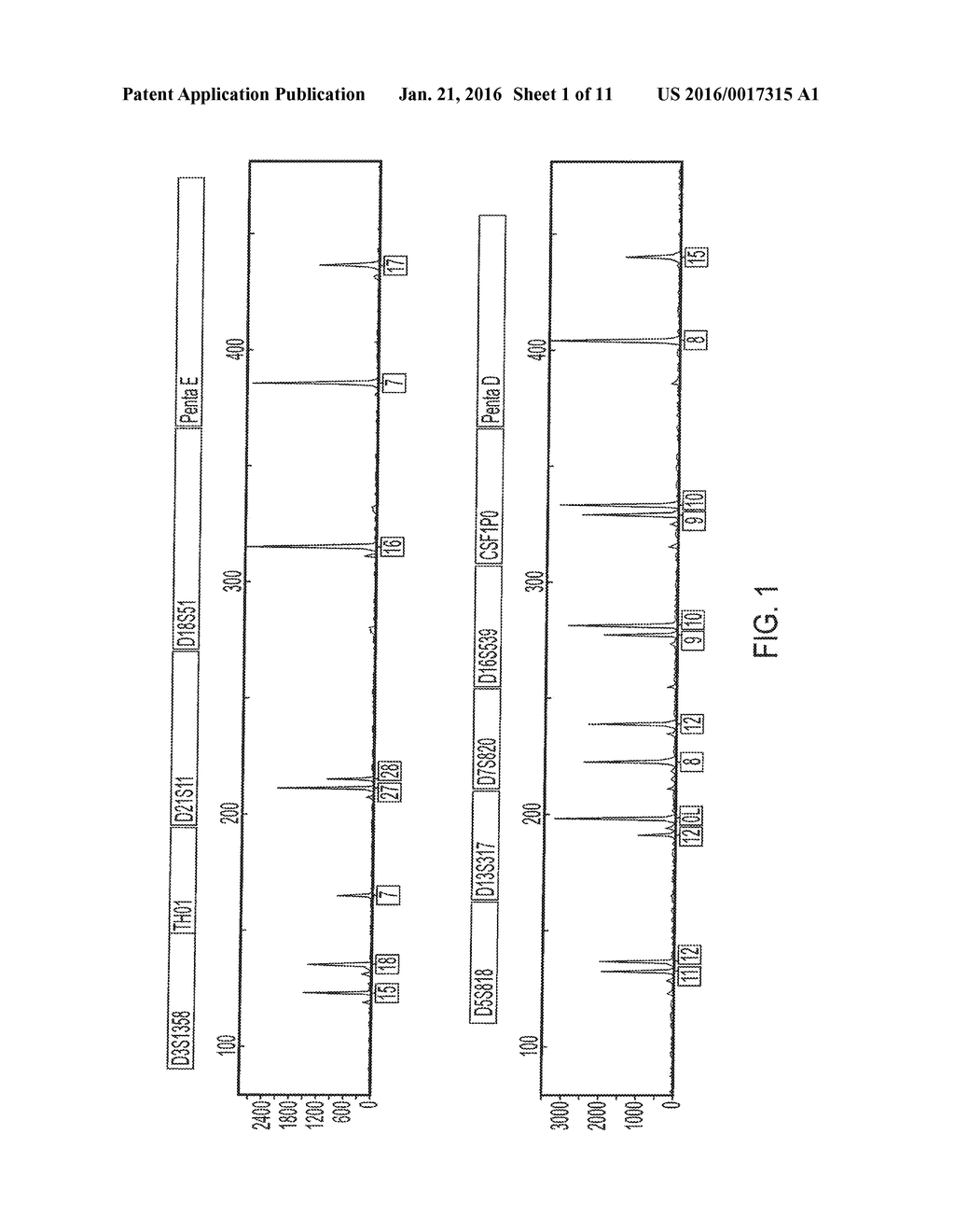 METHODS FOR ONE STEP NUCLEIC ACID AMPLIFICATION OF NON-ELUTED SAMPLES - diagram, schematic, and image 02