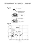 MiRNA molecule defined by its source and  its diagnostic and  therapeutic     uses  in diseases or conditions associated with  EMT diagram and image