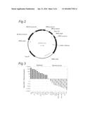 MiRNA molecule defined by its source and  its diagnostic and  therapeutic     uses  in diseases or conditions associated with  EMT diagram and image