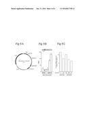 MiRNA molecule defined by its source and  its diagnostic and  therapeutic     uses  in diseases or conditions associated with  EMT diagram and image