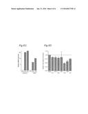 MiRNA molecule defined by its source and  its diagnostic and  therapeutic     uses  in diseases or conditions associated with  EMT diagram and image