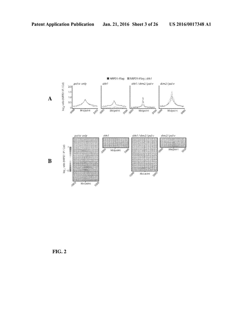 METHODS AND COMPOSITIONS FOR TARGETING RNA POLYMERASES AND NON-CODING RNA     BIOGENESIS TO SPECIFIC LOCI - diagram, schematic, and image 04