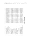 PLANTS HAVING ENHANCED YIELD-RELATED TRAITS AND A METHOD FOR MAKING THE     SAME diagram and image