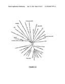 PLANTS HAVING ENHANCED YIELD-RELATED TRAITS AND A METHOD FOR MAKING THE     SAME diagram and image