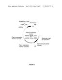 PLANTS HAVING ENHANCED YIELD-RELATED TRAITS AND A METHOD FOR MAKING THE     SAME diagram and image