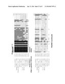 PLANTS HAVING ENHANCED YIELD-RELATED TRAITS AND A METHOD FOR MAKING THE     SAME diagram and image