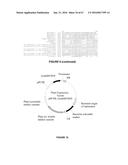 PLANTS HAVING ENHANCED YIELD-RELATED TRAITS AND A METHOD FOR MAKING THE     SAME diagram and image