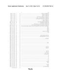 FUNCTIONAL EXPRESSION OF BACTERIAL MAJOR FACILITATOR SUPERFAMILY MFS GENE     IN MAIZE TO IMPROVE AGRONOMIC TRAITS AND GRAIN YIELD diagram and image