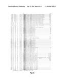 FUNCTIONAL EXPRESSION OF BACTERIAL MAJOR FACILITATOR SUPERFAMILY MFS GENE     IN MAIZE TO IMPROVE AGRONOMIC TRAITS AND GRAIN YIELD diagram and image