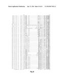 FUNCTIONAL EXPRESSION OF BACTERIAL MAJOR FACILITATOR SUPERFAMILY MFS GENE     IN MAIZE TO IMPROVE AGRONOMIC TRAITS AND GRAIN YIELD diagram and image