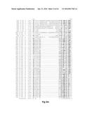 FUNCTIONAL EXPRESSION OF BACTERIAL MAJOR FACILITATOR SUPERFAMILY MFS GENE     IN MAIZE TO IMPROVE AGRONOMIC TRAITS AND GRAIN YIELD diagram and image