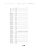 FUNCTIONAL EXPRESSION OF BACTERIAL MAJOR FACILITATOR SUPERFAMILY MFS GENE     IN MAIZE TO IMPROVE AGRONOMIC TRAITS AND GRAIN YIELD diagram and image