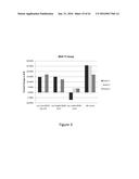 FUNCTIONAL EXPRESSION OF BACTERIAL MAJOR FACILITATOR SUPERFAMILY MFS GENE     IN MAIZE TO IMPROVE AGRONOMIC TRAITS AND GRAIN YIELD diagram and image