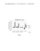 FUNCTIONAL EXPRESSION OF BACTERIAL MAJOR FACILITATOR SUPERFAMILY MFS GENE     IN MAIZE TO IMPROVE AGRONOMIC TRAITS AND GRAIN YIELD diagram and image