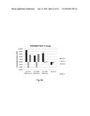 FUNCTIONAL EXPRESSION OF BACTERIAL MAJOR FACILITATOR SUPERFAMILY MFS GENE     IN MAIZE TO IMPROVE AGRONOMIC TRAITS AND GRAIN YIELD diagram and image