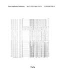 FUNCTIONAL EXPRESSION OF BACTERIAL MAJOR FACILITATOR SUPERFAMILY MFS GENE     IN MAIZE TO IMPROVE AGRONOMIC TRAITS AND GRAIN YIELD diagram and image