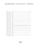 FUNCTIONAL EXPRESSION OF BACTERIAL MAJOR FACILITATOR SUPERFAMILY MFS GENE     IN MAIZE TO IMPROVE AGRONOMIC TRAITS AND GRAIN YIELD diagram and image