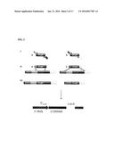 GENETICALLY MODIFIED MICROORGANISM FOR PRODUCING LONG-CHAIN DICARBOXYLIC     ACID AND METHOD OF USING THEREOF diagram and image