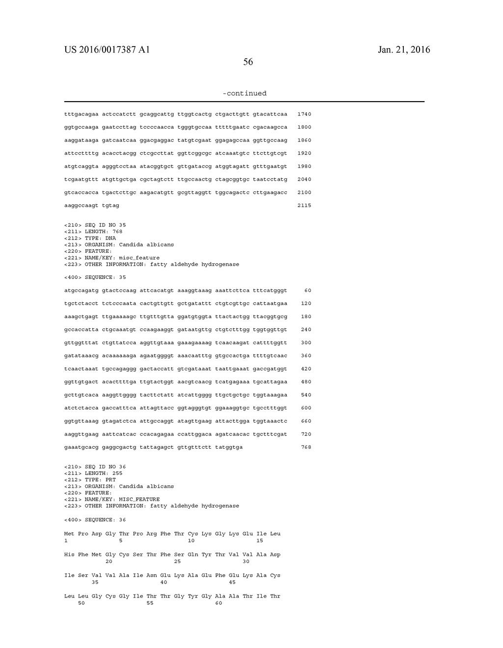 GENETICALLY MODIFIED MICROORGANISM FOR PRODUCING LONG-CHAIN DICARBOXYLIC     ACID AND METHOD OF USING THEREOF - diagram, schematic, and image 74