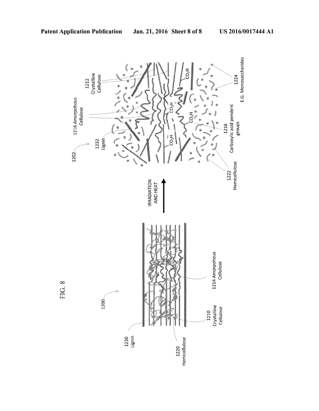 PROCESSING BIOMASS - diagram, schematic, and image 09