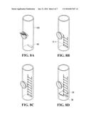 SEGMENTED COLLAPSIBLE LADDER diagram and image