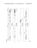 Fluid Flow During Landing Of Logging Tools In Bottom Hole Assembly diagram and image