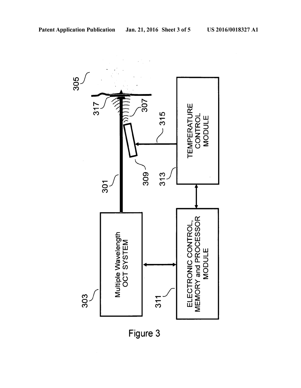 Differential OCT Analysis System - diagram, schematic, and image 04