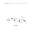 SENSOR AND METHOD OF DETECTING AN ANALYTE USING 19F NMR diagram and image