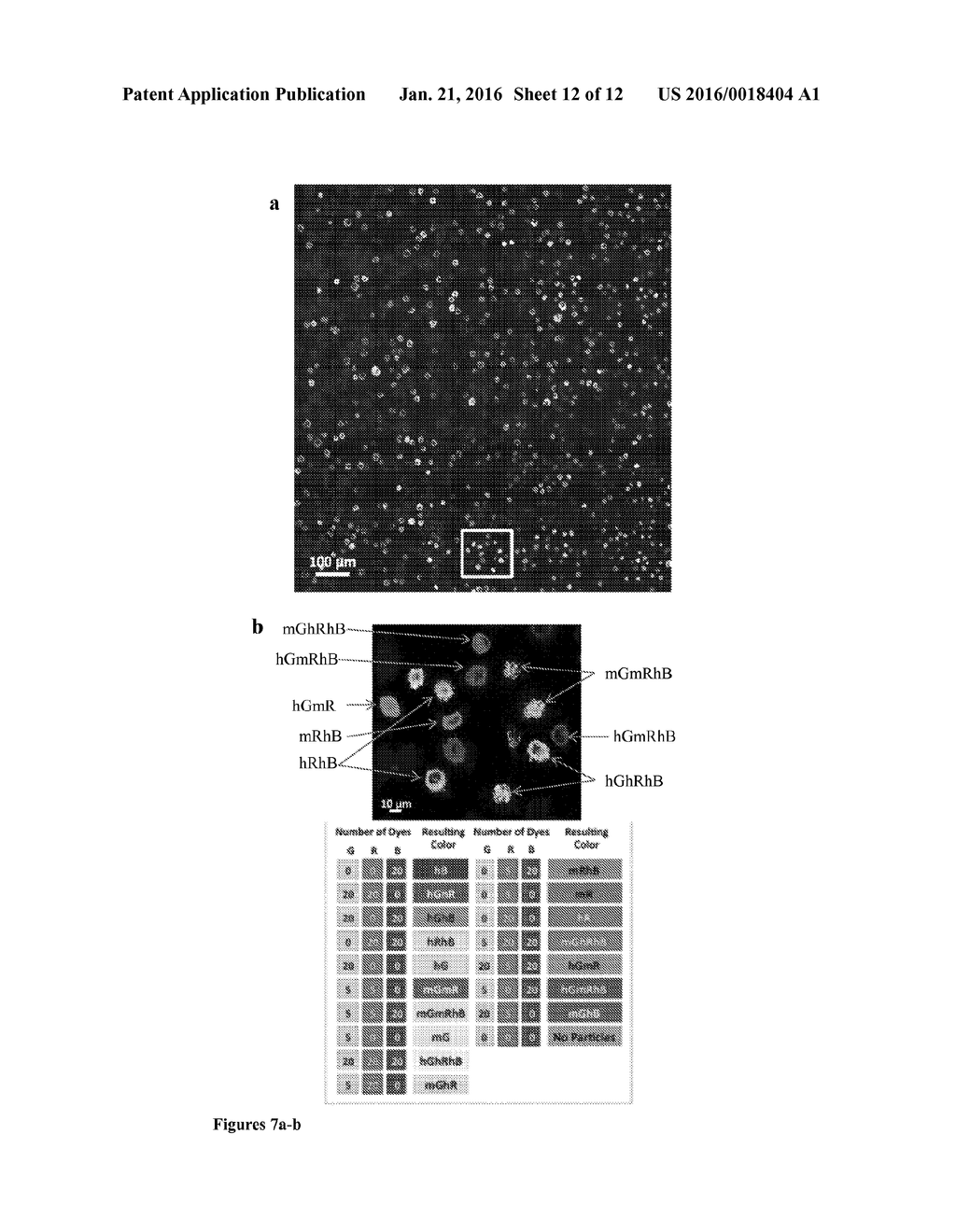 MULTILAYER FLUORESCENT NANOPARTICLES AND METHODS OF MAKING AND USING SAME - diagram, schematic, and image 13