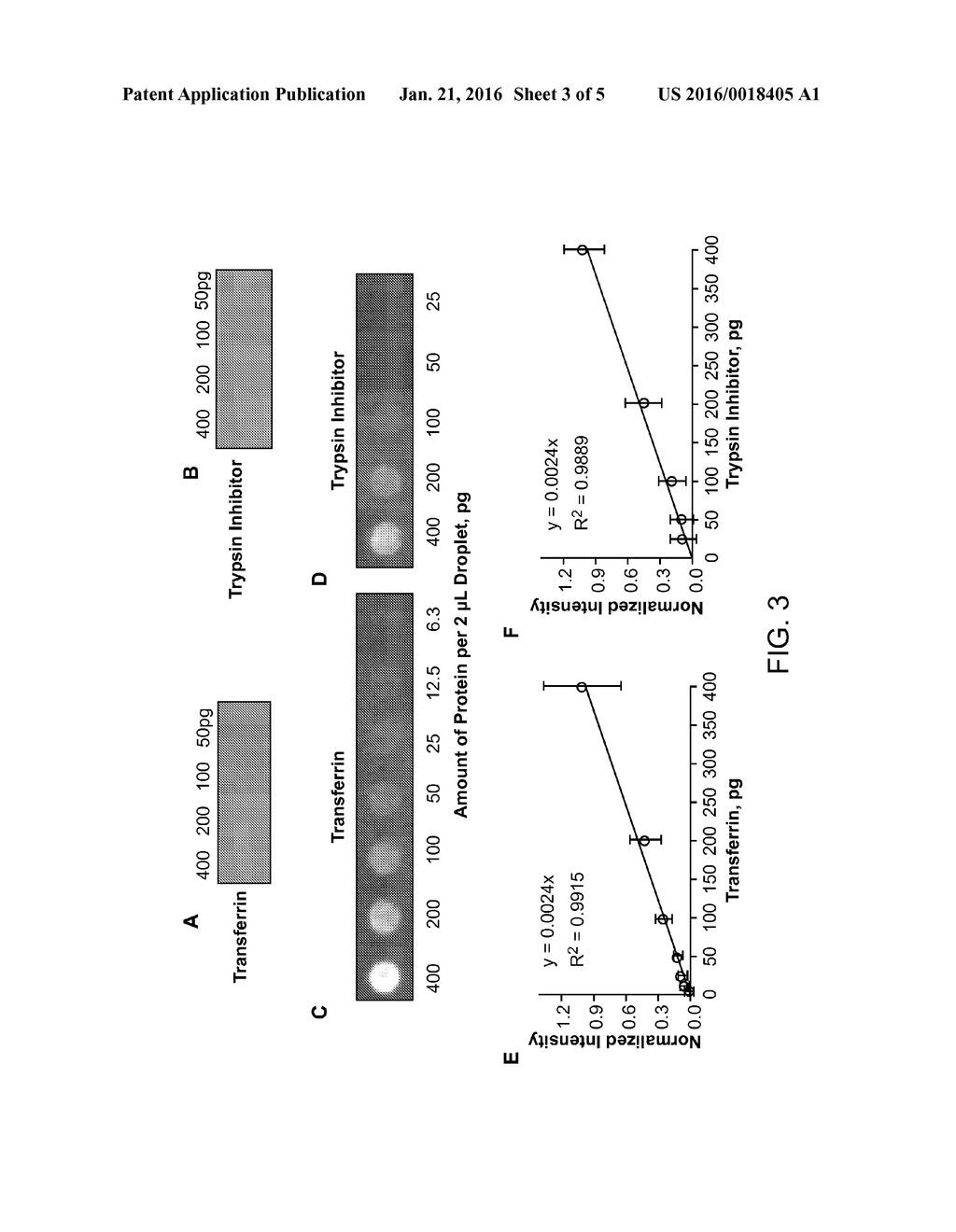 METHODS AND SYSTEMS FOR ANALYSIS USING POLYMER DOTS - diagram, schematic, and image 04