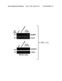 SAB as a Biomarker for Degenerative Diseases and Therapeutic Sensitivity     in Cancers diagram and image