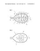 BODY-INSERTABLE DEVICE WITH AN MR COIL AND A SHIN COIL diagram and image