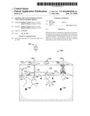 Method and System For Identifying and Sampling Hydrocarbons diagram and image