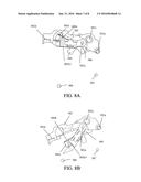 IMAGE PICKUP APPARATUS AND CAMERA SYSTEM diagram and image